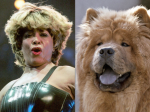Verrückt: Tierische Star-Doubles - Tina Turner