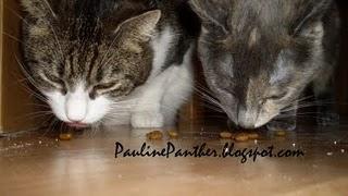 Möchte ich mal einfach so zeigen....