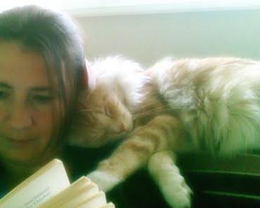Kuschelige Lesetsunden mit Kater Ramses