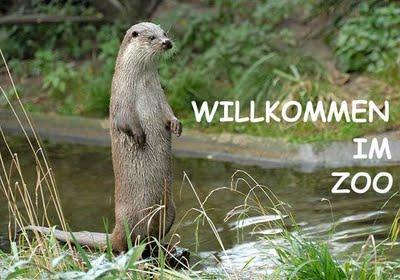 Tagebuchnotizen zum Buch DAS ESELSKIND - Ich gehöre in den Zoo!
