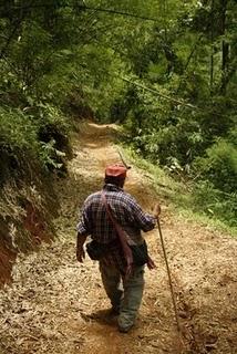 Going native - Hilltribe trekking in Chiang Rai