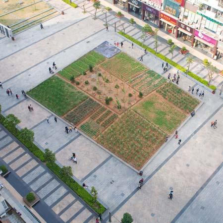urbane Landwirtschaft in Shenzhen/China