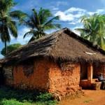 Genug von der Insel?