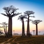 Genug von der Insel?