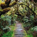 Genug von der Insel?