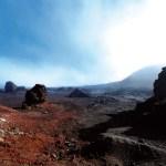 Genug von der Insel?