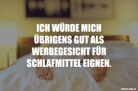 Lustiger BilderSpruch - ICH WÜRDE MICH ÜBRIGENS GUT ALS WERBEGESICHT...