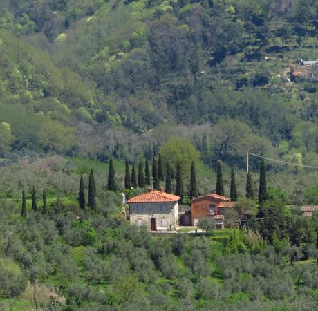 Hoch auf zwei grünen Hügeln: Das Alt-Städtchen Montecatini Alto