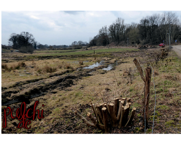 #0807 [Session-Life] Bautagebuch ~ Grundstück