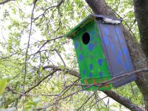Aktion vogelfreundlicher Garten – die ersten Schritte sind getan