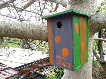 Aktion vogelfreundlicher Garten – die ersten Schritte sind getan
