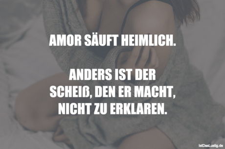 Lustiger BilderSpruch - AMOR SÄUFT HEIMLICH.  ANDERS IST DER SCHEIß,...