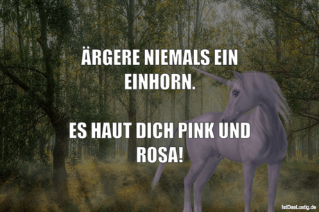 Lustiger BilderSpruch - ÄRGERE NIEMALS EIN EINHORN.  ES HAUT DICH PINK...