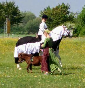 Ponyfest in Türkheim