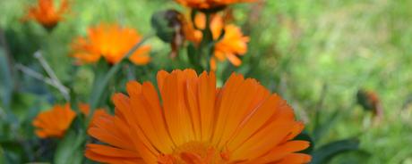 Kalenderblatt | 07.05.2018