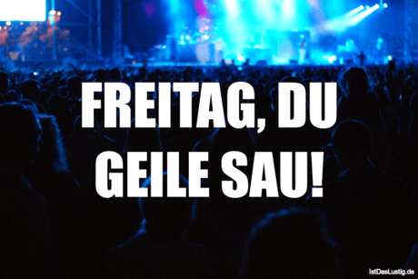 Lustiger BilderSpruch - FREITAG, DU GEILE SAU!