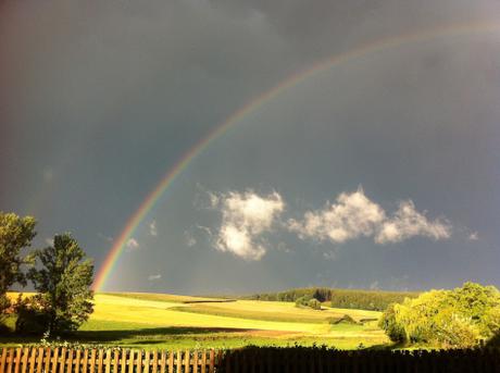 Spruch zum Wochenende: Regen