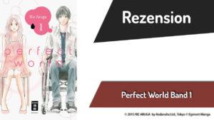 Review Perfect World