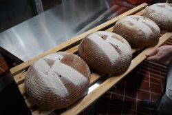 Rischart Brot Produktionsbesichtigung Brotsorten - 40