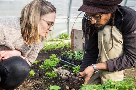 [News] – herzlichst Anna´s – Bio-Kistl: