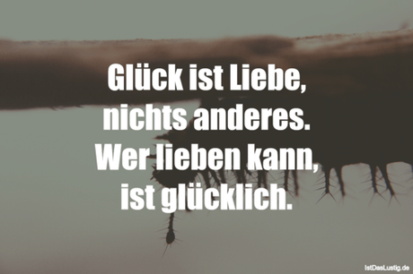 Lustiger BilderSpruch - Glück ist Liebe, nichts anderes. Wer lieben...