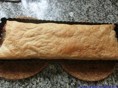 Rhabarber Tarte Tatin