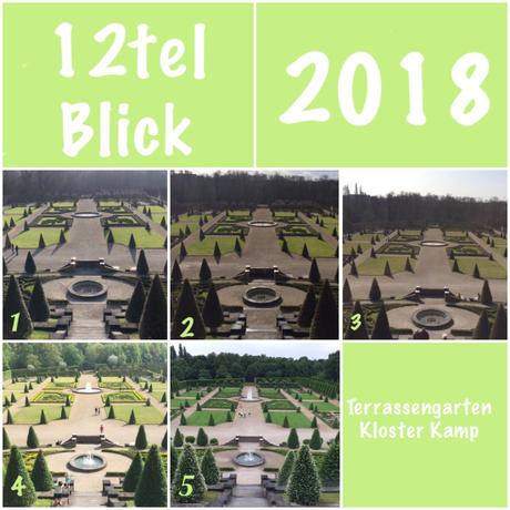 12tel- Blick im Mai 2018 – oder – Terrassengarten im Frühsommer