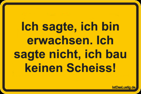 Lustiger BilderSpruch - Ich sagte, ich bin erwachsen. Ich sagte nicht,...