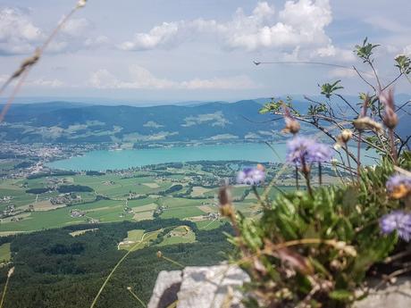 „4 Berge – 3 Seen“: Mehrtagestour im Salzkammergut