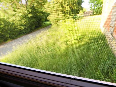 Mit dem Insetto Fensterschutz bleiben Tierchen draussen #Fliegengitter #Schutz #Insektenfrei