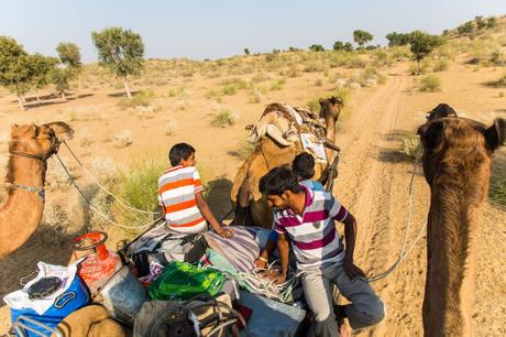 21. November 2017 – Auf dem Kamel in der Wüste Thar