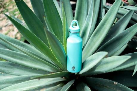 Mizu Trinkflasche mit Kaktus