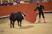 „Königskinder“ beim Stierkampf in Palma de Mallorca
