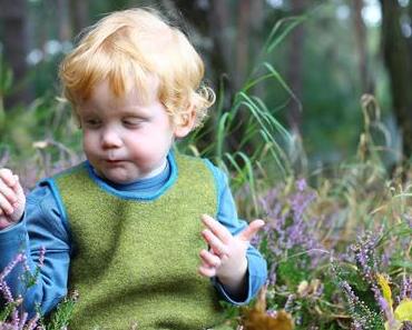 Nachhaltig Geld anlegen mit den GreenFolios von VisualVest