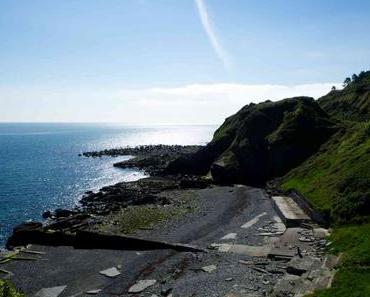 Küstenwanderung von Bray nach Greystones