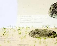 wallpaper-1689754