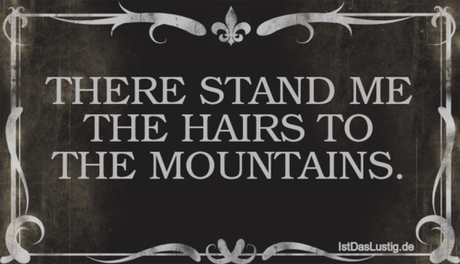 Lustiger BilderSpruch - THERE STAND ME THE HAIRS TO THE MOUNTAINS.