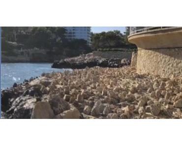 Privatperson verhindert Zugang zum Meer in Portals Nous