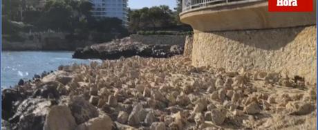 Privatperson verhindert Zugang zum Meer in Portals Nous