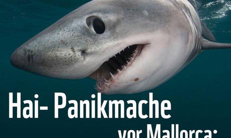 Hai-Panikmache vor Mallorca
