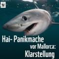 Hai-Panikmache vor Mallorca