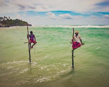 Stelzenfischer auf Sri Lanka – Dies solltest du vorher darüber wissen