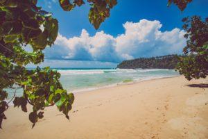 Willkommen im Paradies – Mirissa Beach, der perfekte Strand im Süden Sri Lanka’s