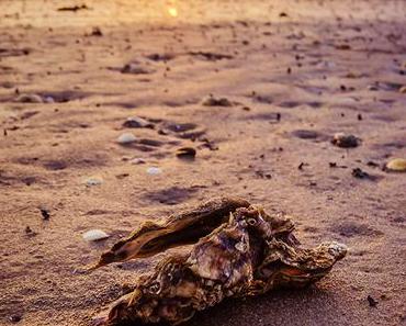 Meine schönsten Reisefotos vom 1. Halbjahr 2018