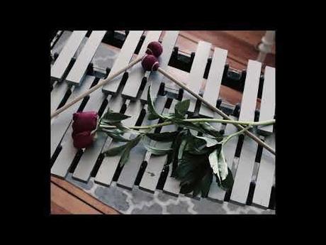 Maike Zazie – FRAGMENTE nie geschriebener Briefe | Video + full Album stream