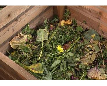 6 Kompostanlagen auf Mallorca geplant