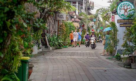 Indo-Quickie Teil 1: Ubud auf Bali