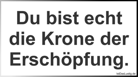 Lustiger BilderSpruch - Du bist echt die Krone der Erschöpfung.