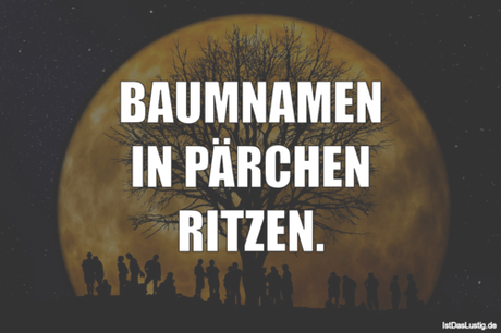 Lustiger BilderSpruch - BAUMNAMEN IN PÄRCHEN RITZEN.