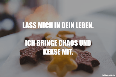 Lustiger BilderSpruch - LASS MICH IN DEIN LEBEN.  ICH BRINGE CHAOS UND...